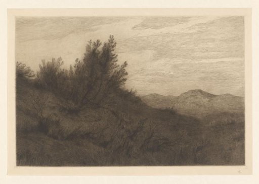 Dune landscape