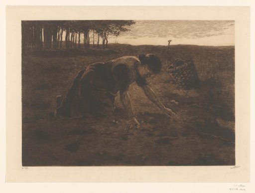 Kneeling potato digger