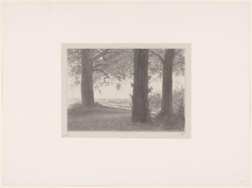 Three trees before a distant view