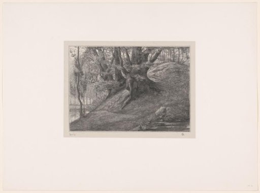 Trees on a hill by the water