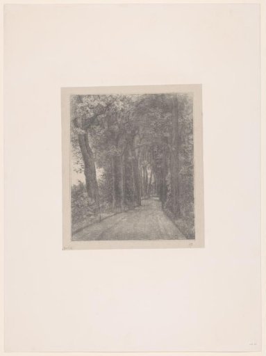 Avenue