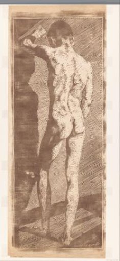Standing boy, seen from the back