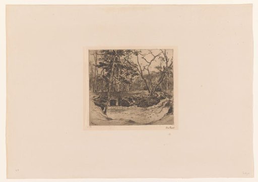 Forest with entrance to a shelter