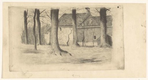 Trees near a House