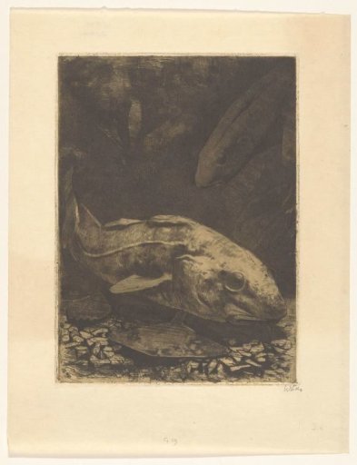 Fish and Water Plants