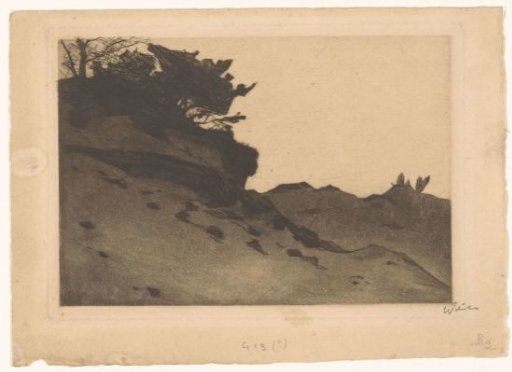 Bushes on a Sand Dune