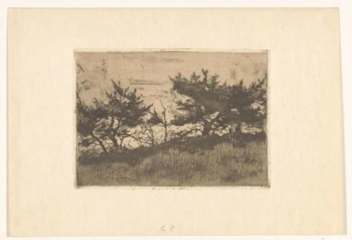 Trees on a Hill
