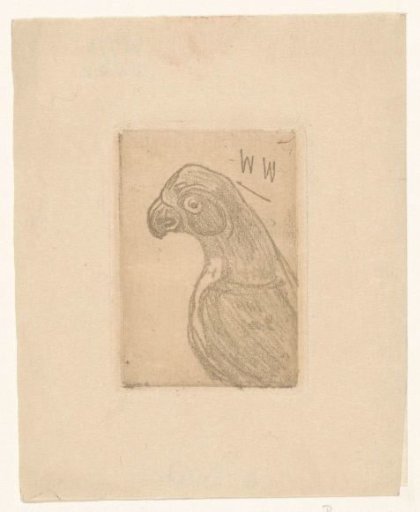 Parrot