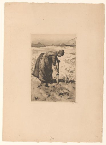 Spitting peasant woman in the field