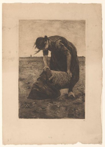 Bent-over potato digger with a basket and sack