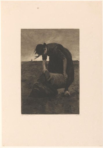 Bent-over potato digger with a basket and sack