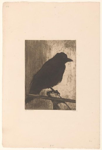 Crow Ina