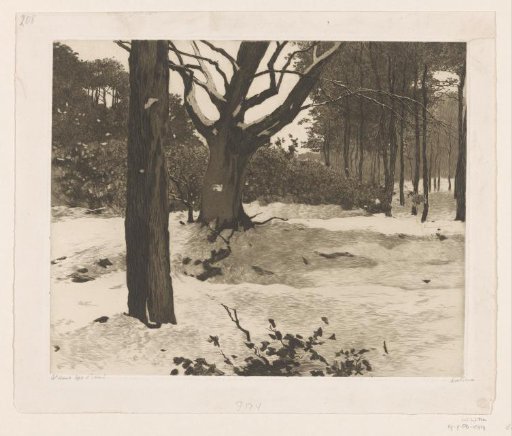 Snowy forest landscape in Ede