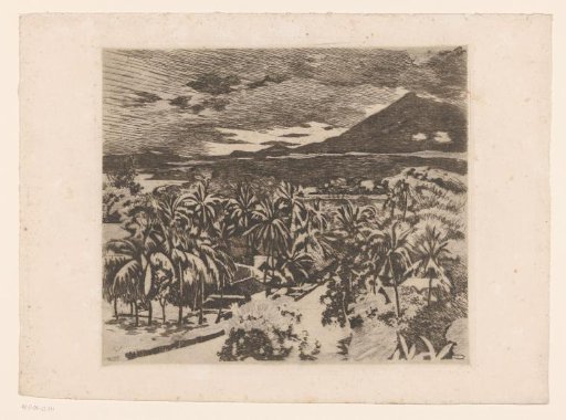 View of a landscape with coconut trees in Buitenzorg