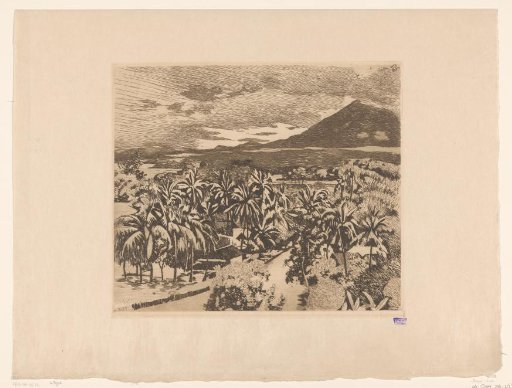 View of a landscape with coconut trees in Buitenzorg