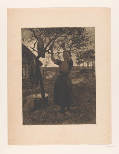 Woman reaching up towards the branches of an apple tree