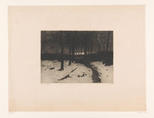 Snowscape with forest path