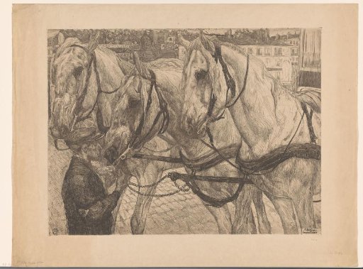 Stable boy