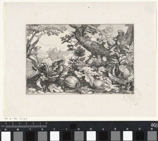 Landscape with pumpkins and coal