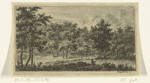 Wooded landscape with a river and a fisherman