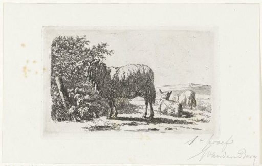 Landscape with three sheep