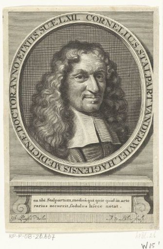Cornelis Stalpart vander Wiel