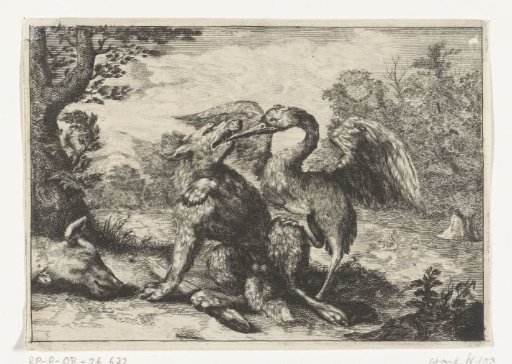 Wolf and crane
