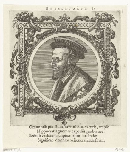 Portrait of Antonius Brassavola
