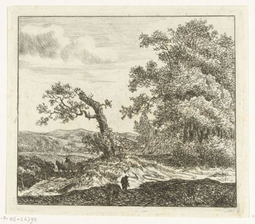 Walker in the dunes outside Haarlem