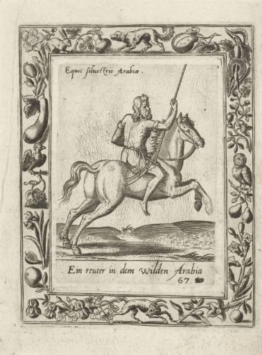 Arab rider