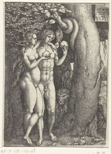 The Fall