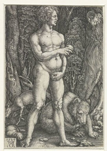 Adam