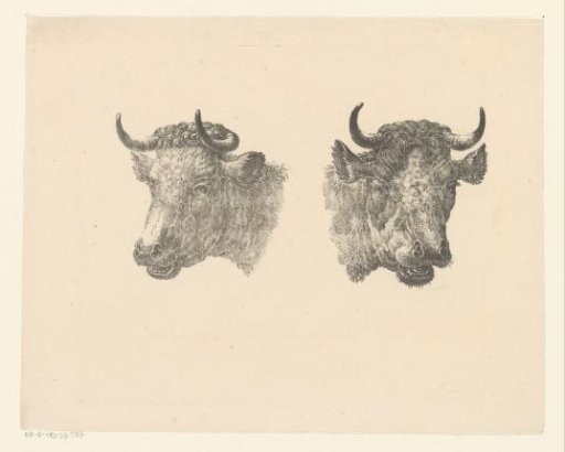 Two ox heads