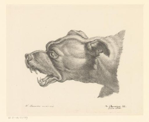 Dog with open mouth