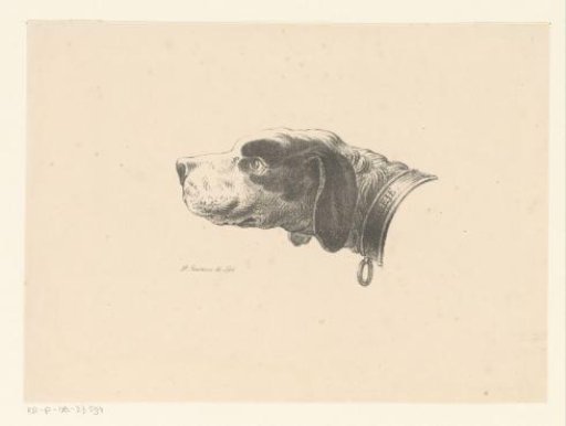 Dog's head with collar