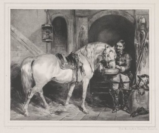 Horse being watered