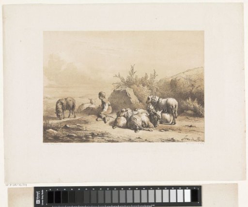 Shepherd and sheep