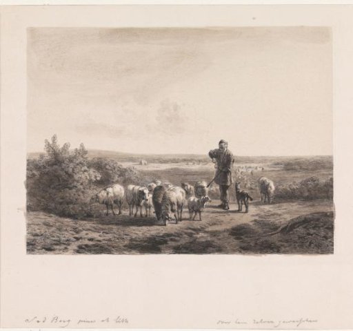 Shepherd with his sheep on the heath