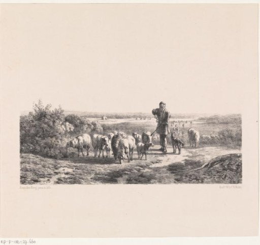 Shepherd with his sheep on the heath