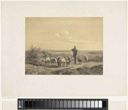Shepherd with his sheep on the heath
