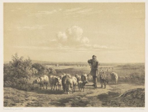 Shepherd with his sheep on the heath