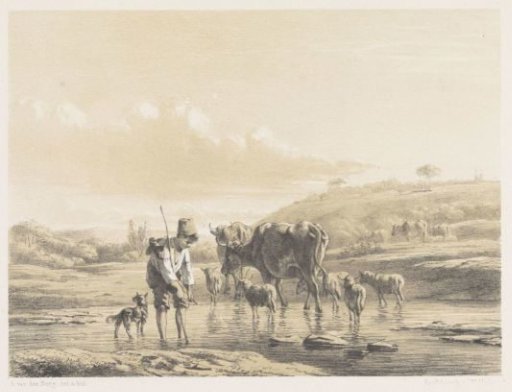 Shepherd boy with flock in shallow water