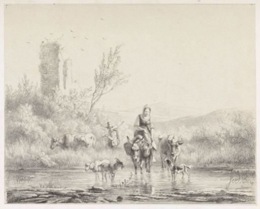 Woman on donkey and her flock
