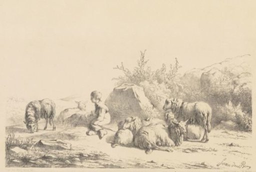 Shepherd and sheep