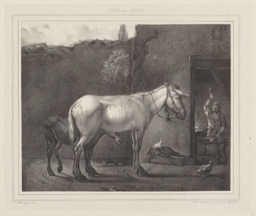 Donkey and Foal at the Farrier