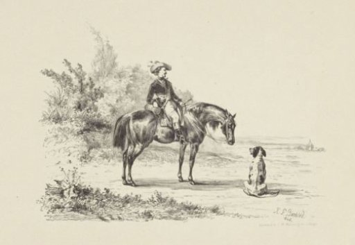 Horse with rider and dog