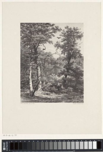Two wood-carrying figures in the forest