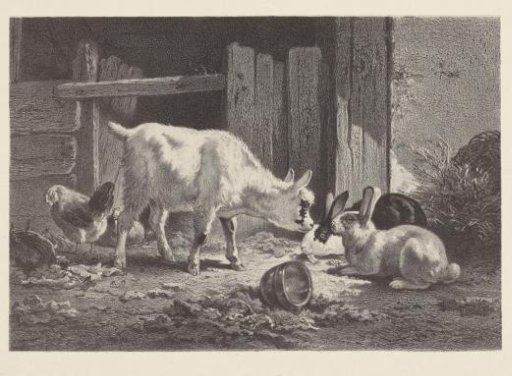 Goat with two rabbits and a hen