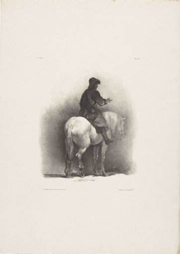 Horse and rider