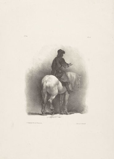 Horse and Rider